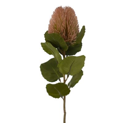 Banksia Bud Stem Pink 59cm