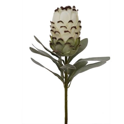 Cream Flocked Protea Spray 75cm