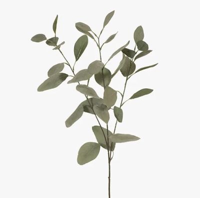 Eucalyptus Silver Dollar - Green/Grey (78cm)