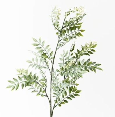 Wattle Leaf Spray - Cream (74cm)