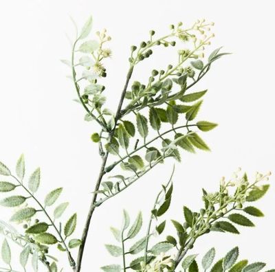 Wattle Leaf Spray - Cream (74cm)