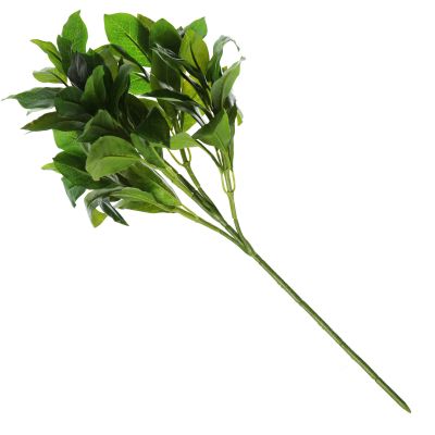 Green Laurel Leaf Spray