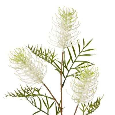 Grevillea Spray - White (83cm)