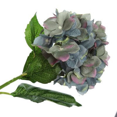 Grey Hydrangea Flower Stem