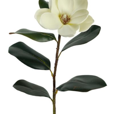 Magnolia Stem - Ivory (60cm)