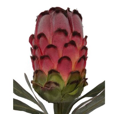 Pink Flocked Protea Spray 75cm