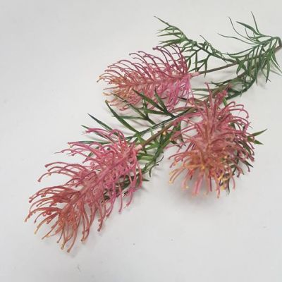 Grevillea Spray - Dusty Pink (83cm)