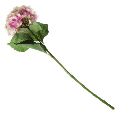 Pink Hydrangea Flower Stem
