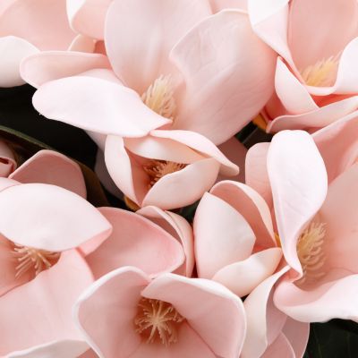 Cote Noire Luxury- Pink Magnolia Bouquet