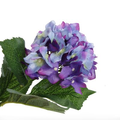 Purple Hydrangea Flower Stem