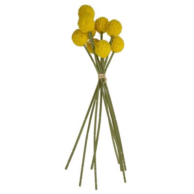 Yellow Billy Button Bouquet 26cm